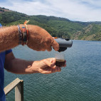 Handpresso Pump